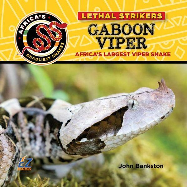 Produktbild: Gaboon Viper: Africa's Largest Viper Snake