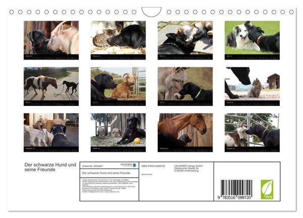 Produktbild: Der schwarze Hund und seine Freunde (Wandkalender 2026 DIN A4 quer), CALVENDO Monatskalender