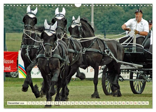 Produktbild: Four-in-hand Driving Challenge (Wall Calendar 2026 DIN A3 landscape), CALVENDO 12 Month Wall Calendar
