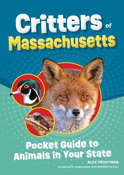 Produktbild: Critters of Massachusetts