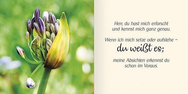 Produktbild: Ich schenke dir Psalm 139