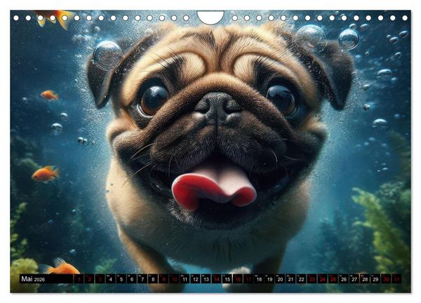 Produktbild: Badespa&szlig; - Hunde unter Wasser (Wandkalender 2026 DIN A4 quer), CALVENDO Monatskalender