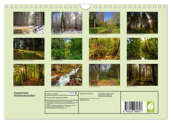 Produktbild: Zauberhafte Waldlandschaften (Wandkalender 2026 DIN A4 quer), CALVENDO Monatskalender
