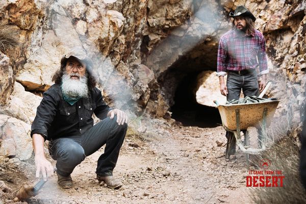 Produktbild: It came from the Desert
