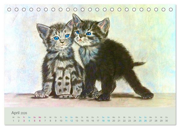 Produktbild: KATZEN PortraiTierART (Tischkalender 2026 DIN A5 quer), CALVENDO Monatskalender