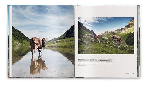 Produktbild: Die Kuh