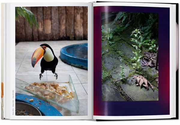 Produktbild: Wolfgang Tillmans