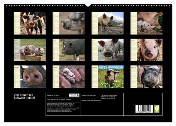 Produktbild: Von S&auml;uen die Schwein haben! (hochwertiger Premium Wandkalender 2026 DIN A2 quer), Kunstdruck in Hochglanz