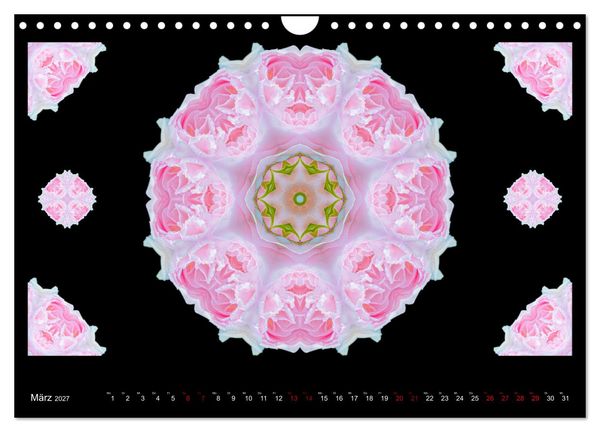 Produktbild: ROSEN MANDALAS (Wandkalender 2027 DIN A4 quer), CALVENDO Monatskalender