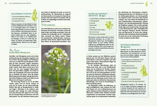 Produktbild: Geheimnisse der Unkr&auml;uter