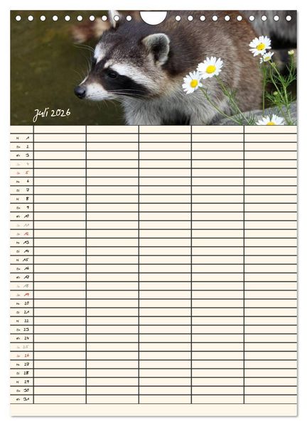 Produktbild: Waschb&auml;ren Familienplaner (Wandkalender 2026 DIN A4 hoch), CALVENDO Monatskalender