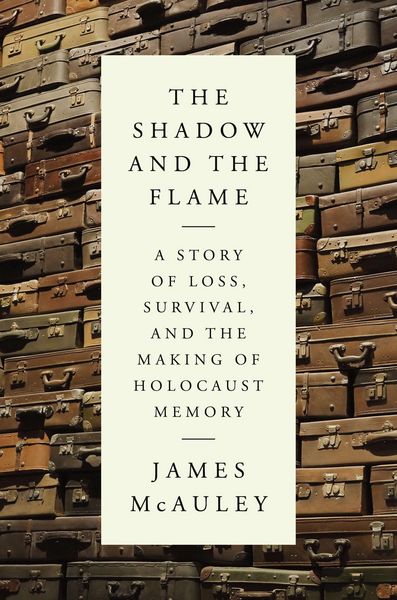 Produktbild: The Shadow and the Flame
