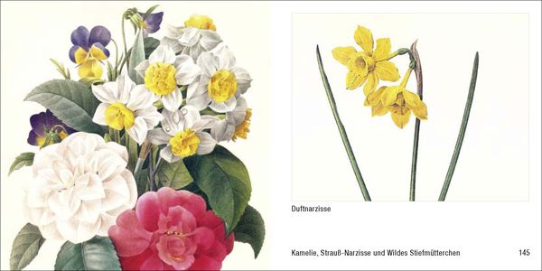 Produktbild: Historische Blumenbilder &ndash; Book To Go