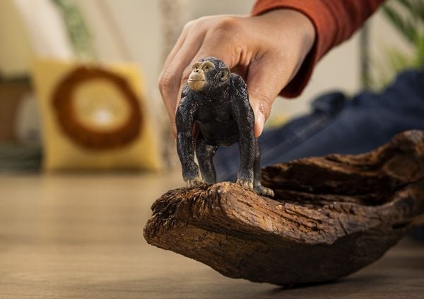 Produktbild: schleich&reg; Wild Life Schimpanse