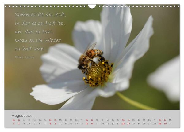 Produktbild: Jahres-Zeiten (Wandkalender 2026 DIN A3 quer), CALVENDO Monatskalender
