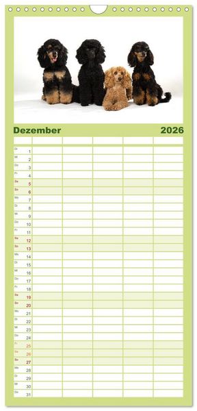 Produktbild: Familienplaner 2026 - Pudel mit 5 Spalten (Wandkalender, 21 x 45 cm) CALVENDO