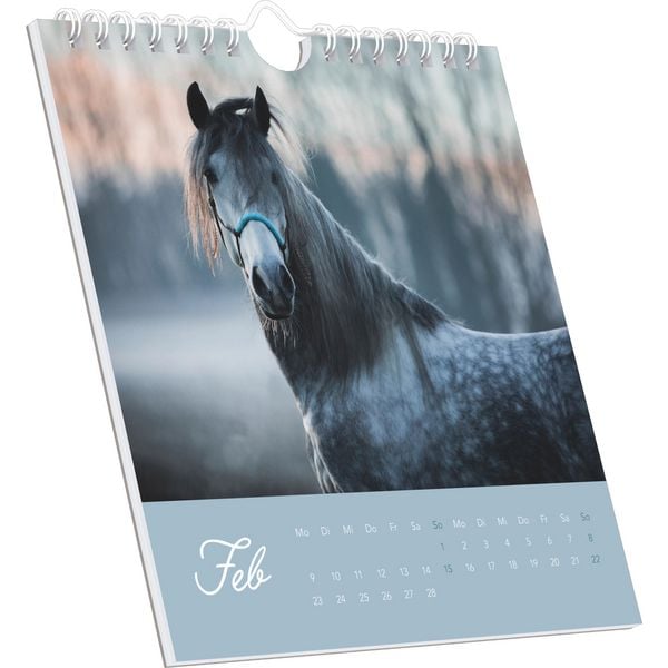 Produktbild: Traumpferde 2026 - Postkartenkalender 16x17 cm - Horses - zum Aufstellen oder Aufhängen - Monatskalendarium - Gadget - Mitbringsel - Alpha Edition