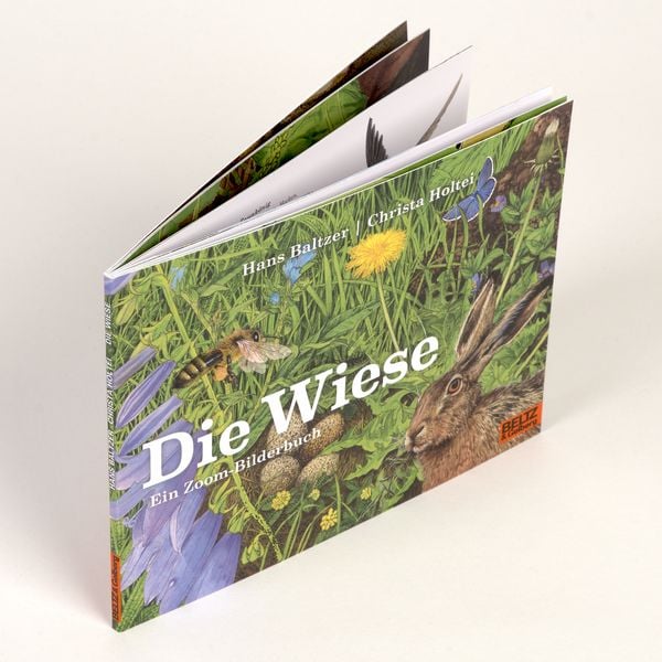 Produktbild: Die Wiese