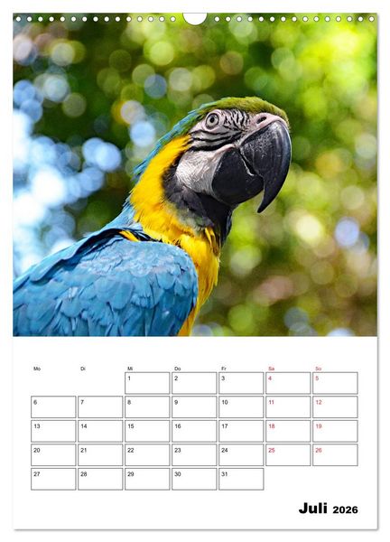 Produktbild: Karibik pur - mit Charme und Zauber (Wandkalender 2026 DIN A3 hoch), CALVENDO Monatskalender