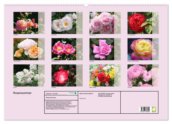 Produktbild: Rosensommer (Wandkalender 2026 DIN A2 quer), CALVENDO Monatskalender