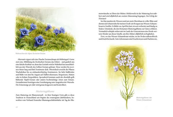 Produktbild: Sommerwiese