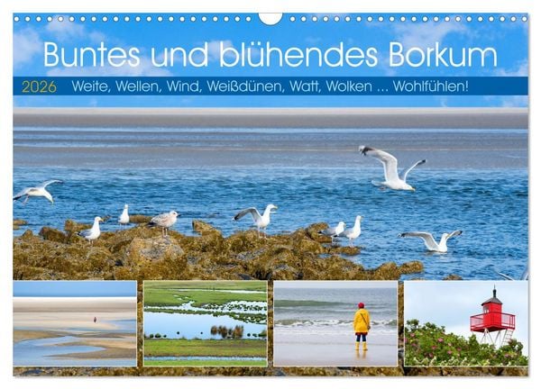 Produktbild: Buntes und bl&uuml;hendes Borkum (Wandkalender 2026 DIN A3 quer), CALVENDO Monatskalender