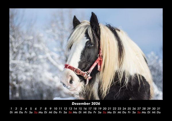 Produktbild: Pferdegefl&uuml;ster 2026 Fotokalender DIN A3
