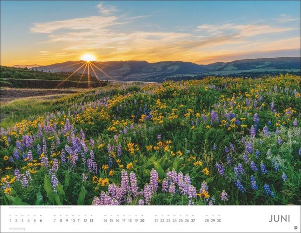 Produktbild: Sonnenzauber Posterkalender 2027