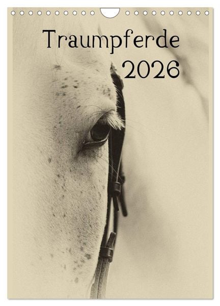 Produktbild: Traumpferde 2026 (Wandkalender 2026 DIN A4 hoch), CALVENDO Monatskalender