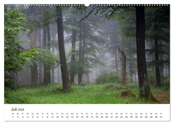 Produktbild: Im Deutschen Wald (hochwertiger Premium Wandkalender 2026 DIN A2 quer), Kunstdruck in Hochglanz