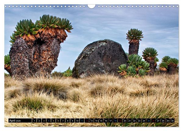Produktbild: Kilimanjaro - das Dach Afrikas (Wandkalender 2026 DIN A3 quer), CALVENDO Monatskalender