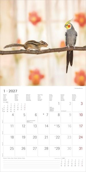 Produktbild: Tierfreundschaften 2027