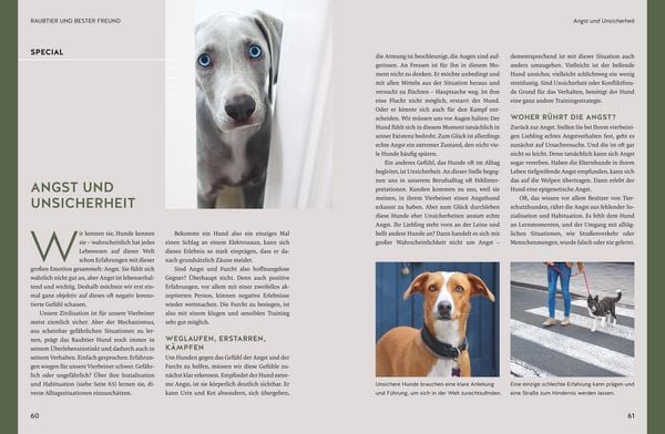 Produktbild: Typgerechte Hundeerziehung
