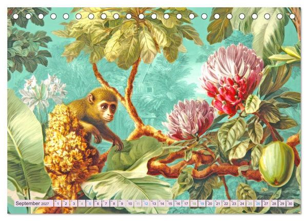 Produktbild: Exotische Pflanzenwelt - Illustrationen (Tischkalender 2027 DIN A5 quer), CALVENDO Monatskalender