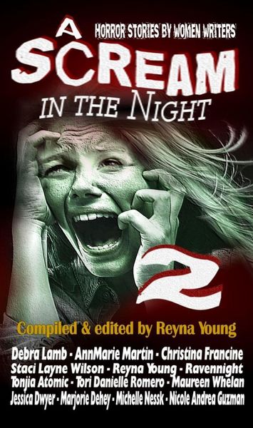 Produktbild: A Scream in the Night 2