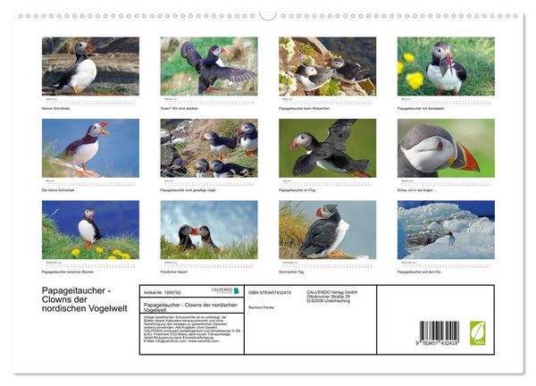Produktbild: Papageitaucher - Clowns der nordischen Vogelwelt (hochwertiger Premium Wandkalender 2026 DIN A2 quer), Kunstdruck in Hochglanz