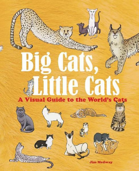 Produktbild: Big Cats, Little Cats