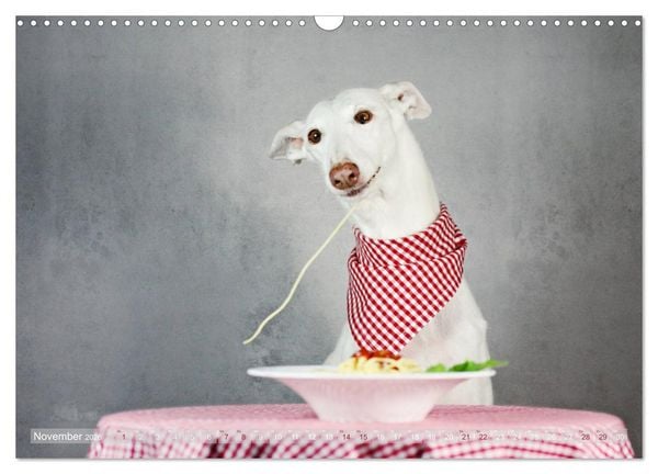 Produktbild: Zauberhafte Windhunde (Wandkalender 2026 DIN A3 quer), CALVENDO Monatskalender