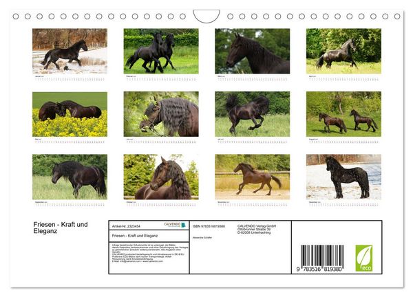 Produktbild: Friesen - Kraft und Eleganz (Wandkalender 2027 DIN A4 quer), CALVENDO Monatskalender
