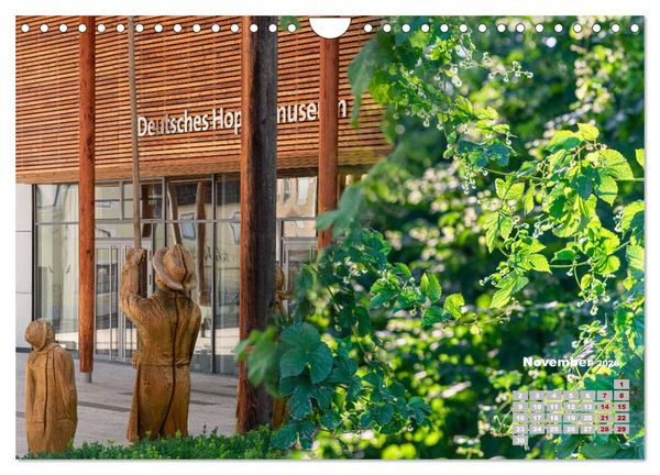 Produktbild: Hopfenland Holledau (Wandkalender 2026 DIN A4 quer), CALVENDO Monatskalender