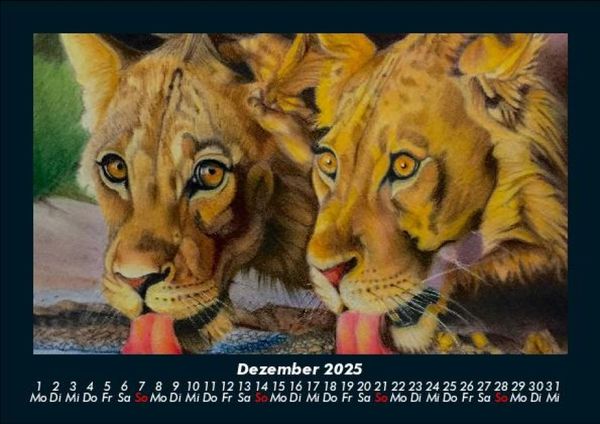 Produktbild: L&ouml;wen in der Wildnis 2025 Fotokalender DIN A5