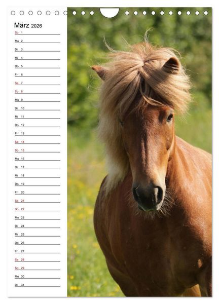 Produktbild: Isl&auml;nder im Portrait (Wandkalender 2026 DIN A4 hoch), CALVENDO Monatskalender