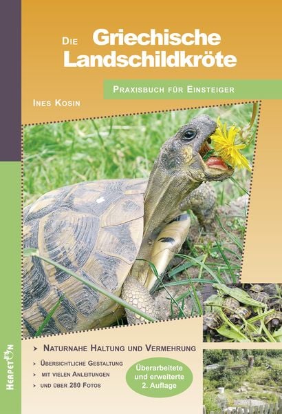 Produktbild: Die Griechische Landschildkr&ouml;te