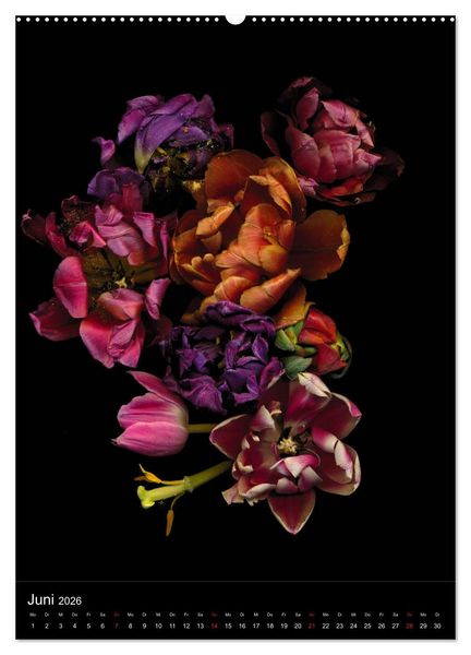 Produktbild: Blumen bei Nacht (hochwertiger Premium Wandkalender 2026 DIN A2 hoch), Kunstdruck in Hochglanz