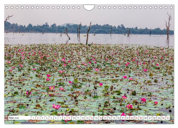 Produktbild: Siem Reap Stadt der Tempel Kambodscha (Wandkalender 2026 DIN A4 quer), CALVENDO Monatskalender