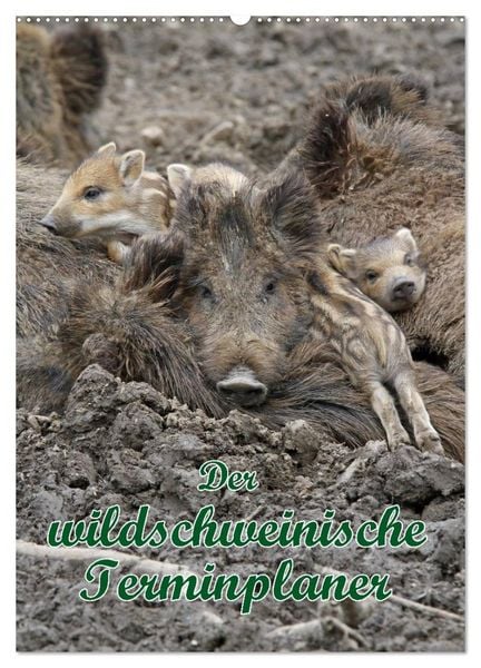 Produktbild: Der wildschweinische Terminplaner (Wandkalender 2026 DIN A2 hoch), CALVENDO Monatskalender