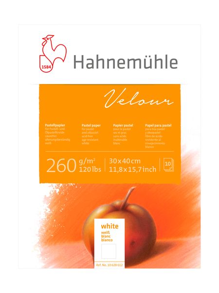 Produktbild: Hahnem&uuml;hle Papier Pastellpapier Velour, 30 x 40 cm, 260 g/m&sup2;