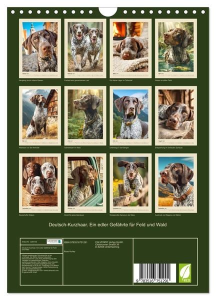 Produktbild: Deutsch-Kurzhaar. Ein edler Gef&auml;hrte f&uuml;r Feld und Wald (Wandkalender 2027 DIN A4 hoch), CALVENDO Monatskalender