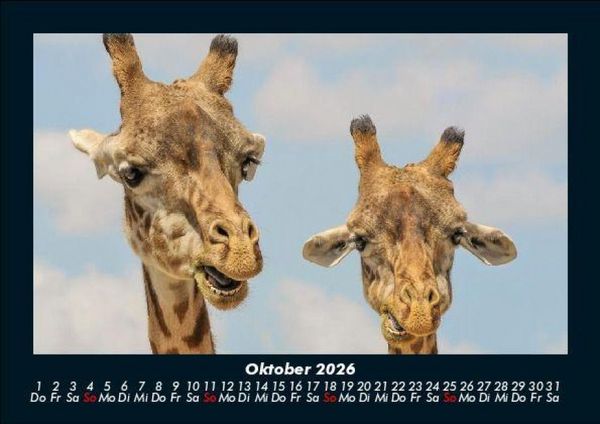 Produktbild: Der Tierkalender 2026 Fotokalender DIN A5