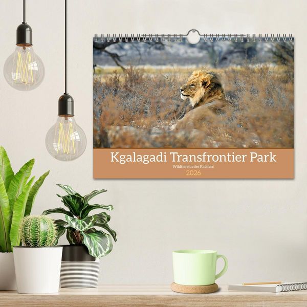Produktbild: Kgalagadi - Fauna und Wildtiere in der Kalahari (Wandkalender 2026 DIN A4 quer), CALVENDO Monatskalender